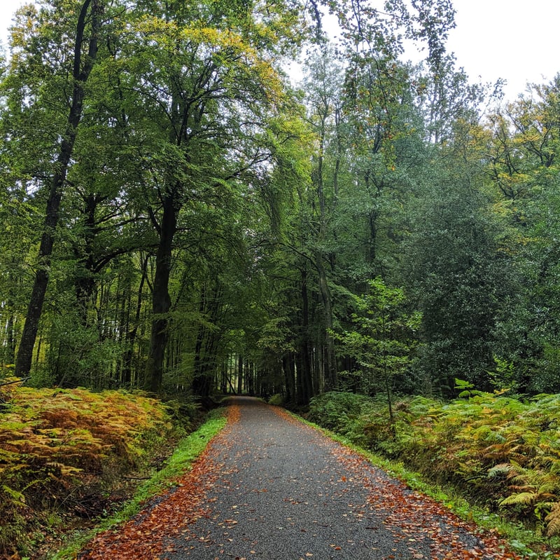 Pathway from Eifelsteig Stage 2 - Roetgen to Monschau