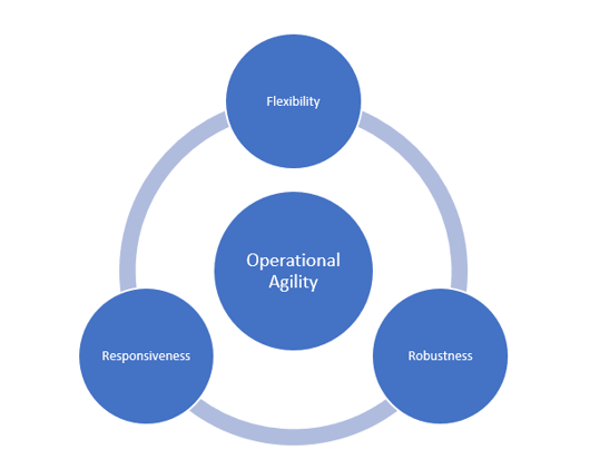 Flexibility Robustness Responsiveness